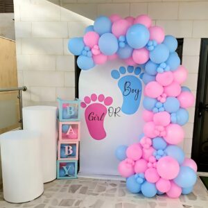 U Shape Flex Backdrop
