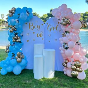 U Shape Flex Backdrop